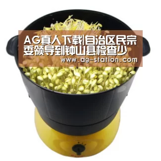 AG真人下载|自治区民宗委领导到钟山县检查少数民族发展资金管理使用情况(图2) AG真人登录