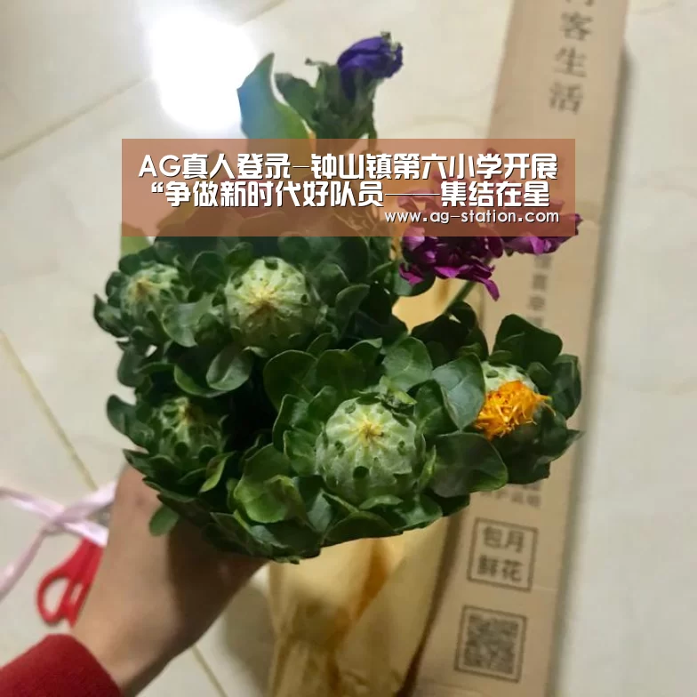 AG真人登录-钟山镇第六小学开展“争做新时代好队员——集结在星星火炬旗帜下”主题队日活动(图3) AG真人游戏平台