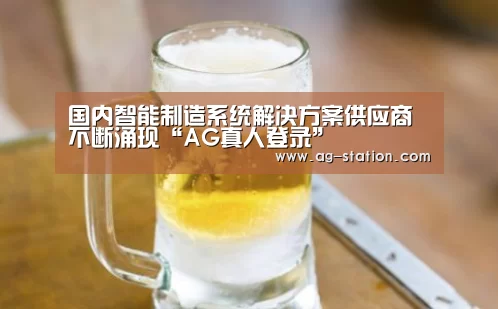 国内智能制造系统解决方案供应商不断涌现“AG真人登录”(图1) AG真人登录