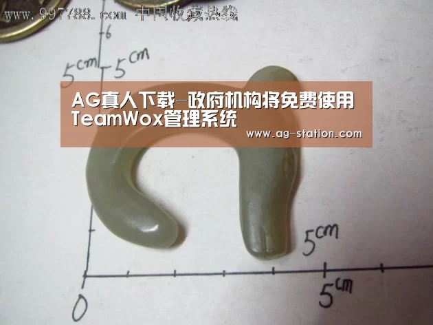 AG真人下载-政府机构将免费使用TeamWox管理系统(图2) AG真人登录